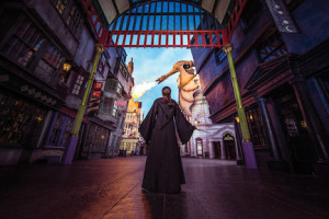 Orlando Hotel Stay + Universal Orlando Resort Park-to-Park Admission