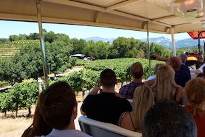 Sonoma Wine Tasting Package