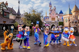 <i>Disneyland&reg;</i> Resort 1-Park Per Day Ticket + Good Neighbor Hotels Package
